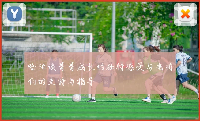哈珀谈哥哥成长的独特感受与老将们的支持与指导