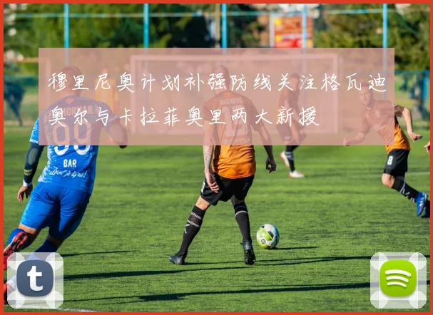 穆里尼奥计划补强防线关注格瓦迪奥尔与卡拉菲奥里两大新援